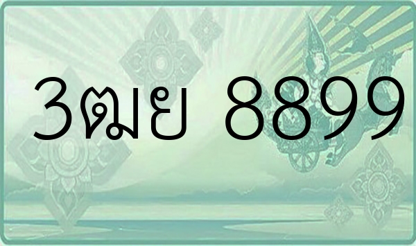 3ฒย 8899